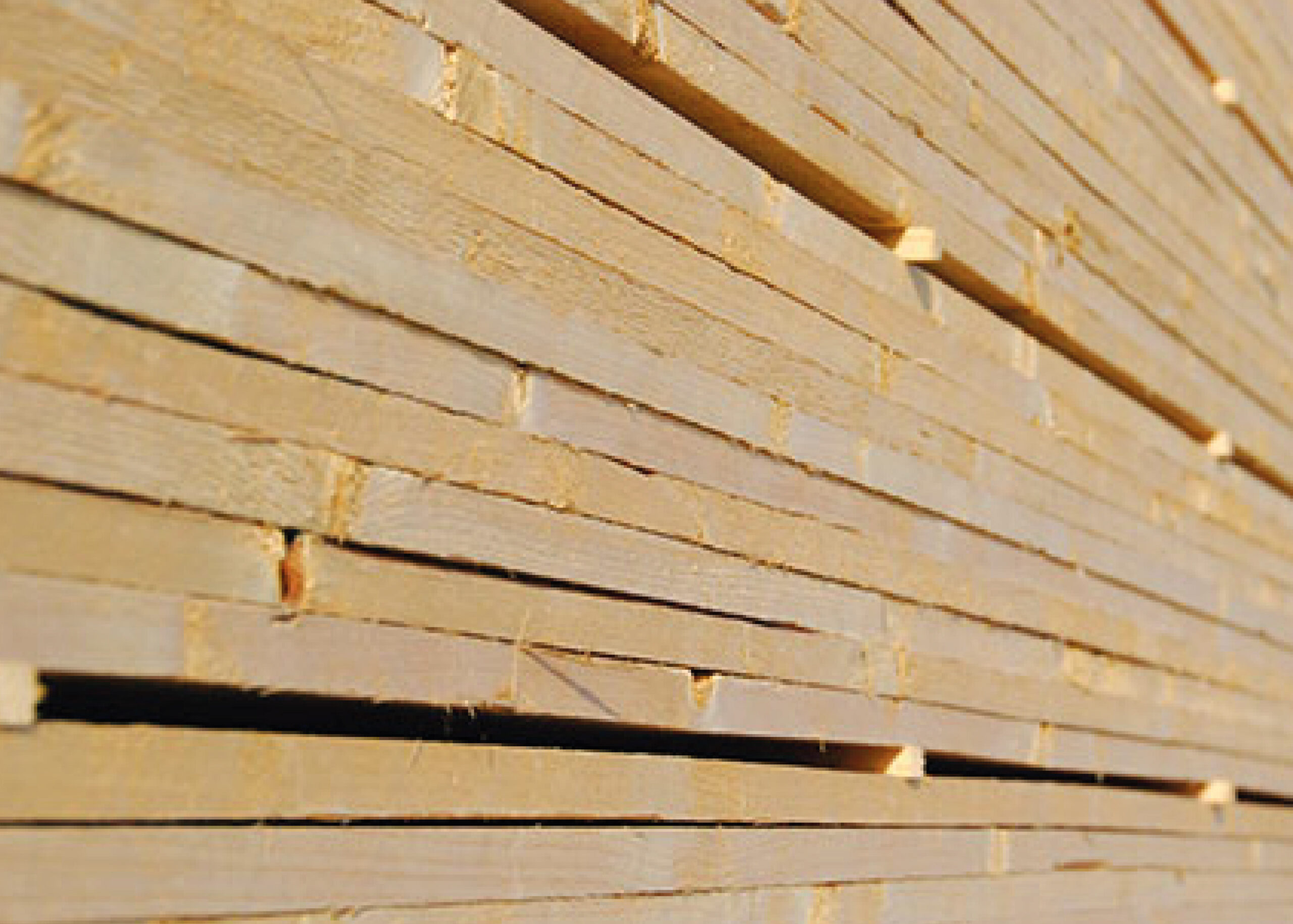 Tavole in legno