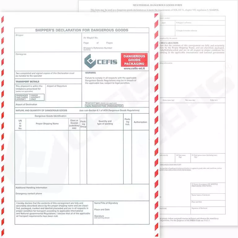 Moduli Iata e Imo Multimodal